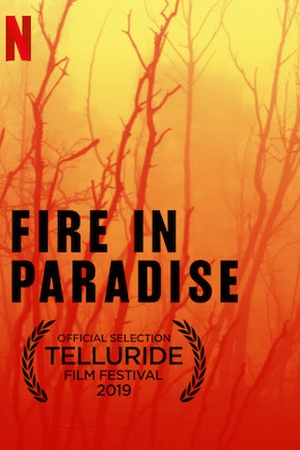 Fire in Paradise