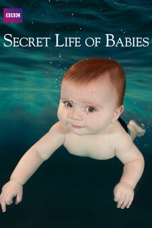 Secret Life of Babies