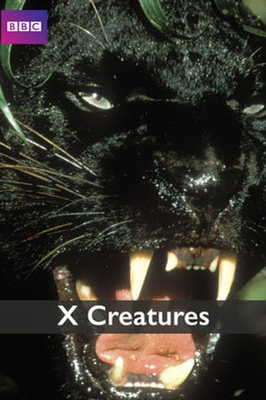 The X Creatures