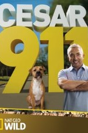 Cesar 911