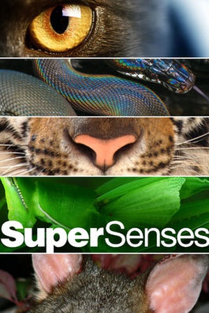 Super Senses