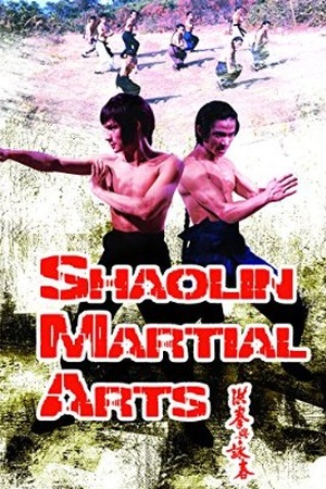 Shaolin Martial Arts