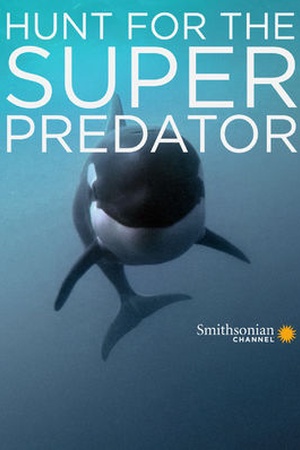 Hunt for the Super Predator