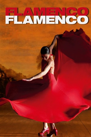 Flamenco, Flamenco