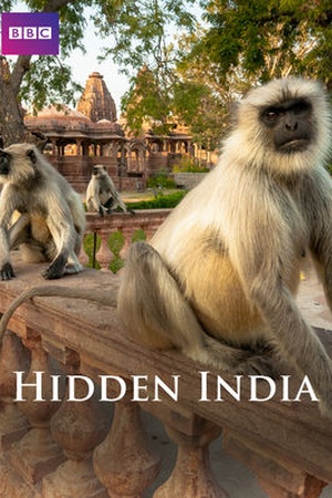 Hidden India