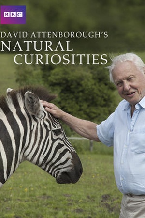 David Attenborough's Natural Curiosities