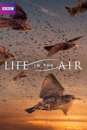 Life in the Air