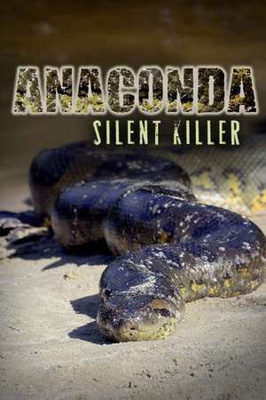 Anaconda - Silent Killer