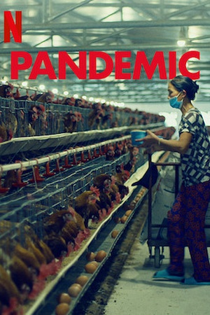 Pandemic: How to Prevent an Outbreak