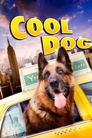 Cool Dog