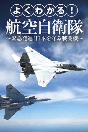 Japan Air Self-Defense Force