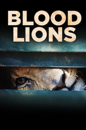 Blood Lions