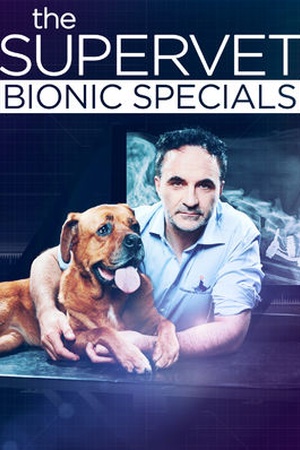 The Supervet: Bionic Specials