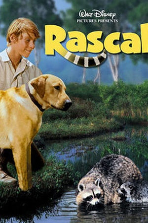 Rascal