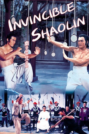 Invincible Shaolin 