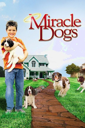 Miracle Dogs