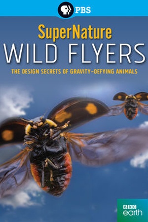 SuperNature: Wild Flyers