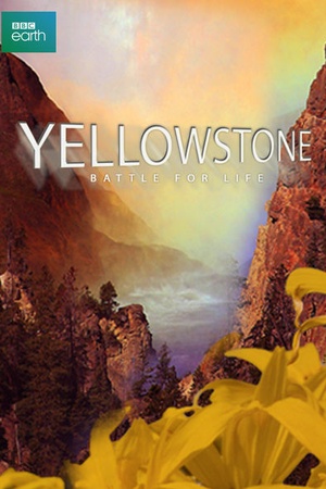 Yellowstone: Battle for Life