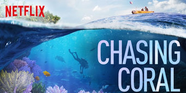 ‘Chasing Coral’ is a Netflix movie about the effects of climate change on coral reefs ‘Chasing Coral’ is a Netflix movie about the effects of climate change on coral reefs