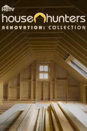 House Hunters Renovation Collection 