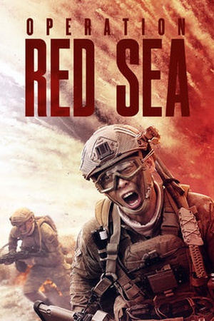 Operation Red Sea