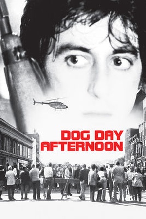Dog Day Afternoon