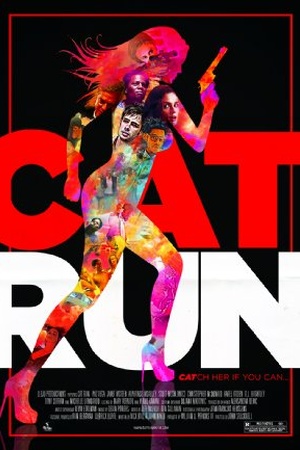 Cat Run