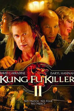 Kung Fu Killer 2