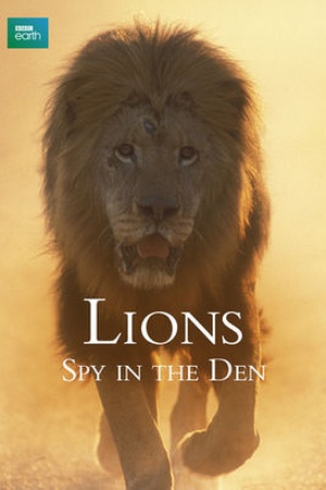 Lions: Spy in the Den