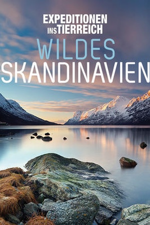 Expeditionen ins Tierreich: Wildes Skandinavien