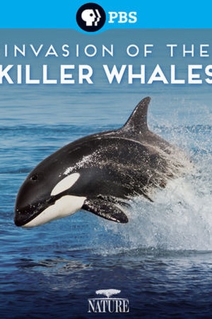 Nature: Invasion of the Killer Whales 