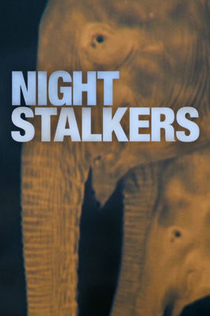 Night Stalkers