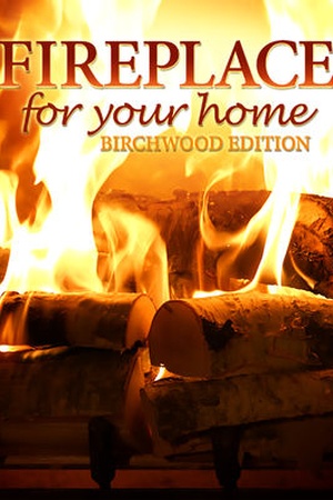 Fireplace 4K: Crackling Birchwood from Fireplace for Your Home