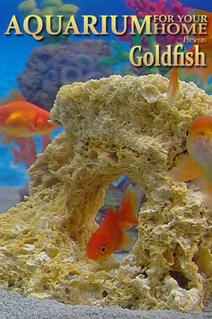 Aquarium for Your Home: Goldfish