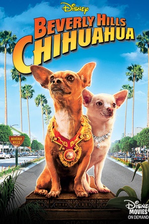 Beverly Hills Chihuahua