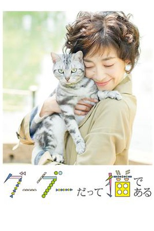 Gou-Gou: My Love, My Cat