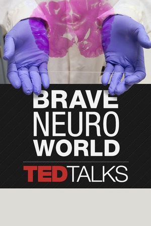 TEDTalks: Brave Neuro World