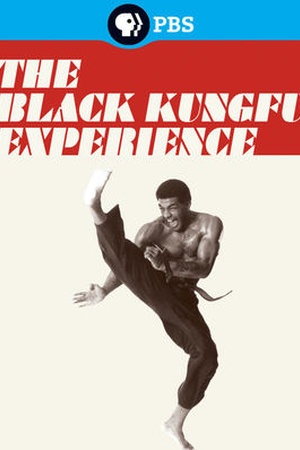 The Black Kungfu Experience 