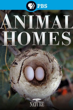 Nature: Animal Homes