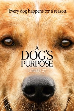 A Dog's Purpose