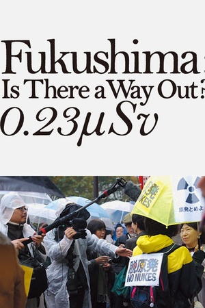 Fukushima: Is There a Way Out? 0.23Î¼SV