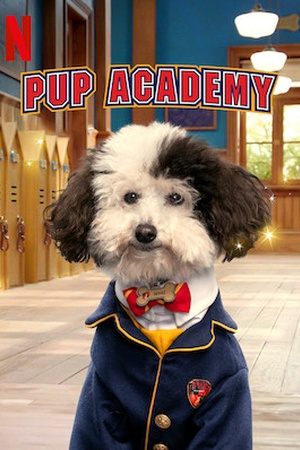 Pup Academy