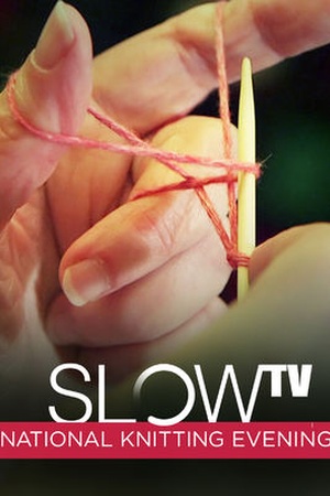 Slow TV: National Knitting Evening