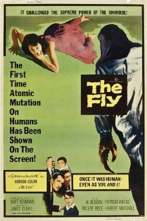 The Fly