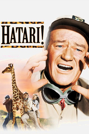 Hatari!