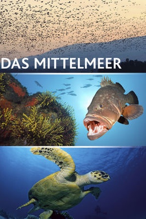 Das Mittelmeer