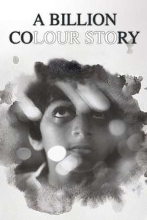 A Billion Colour Story