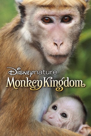 Monkey Kingdom