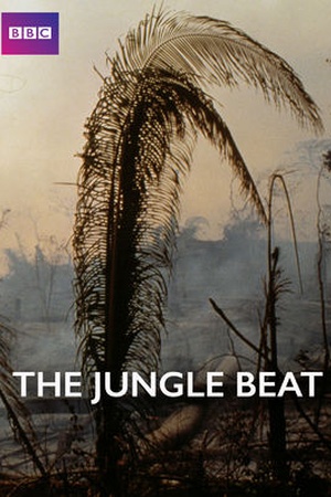 The Jungle Beat