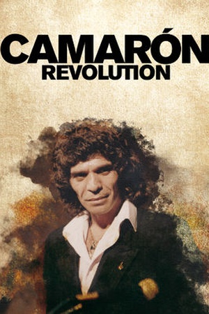 Camarón Revolution